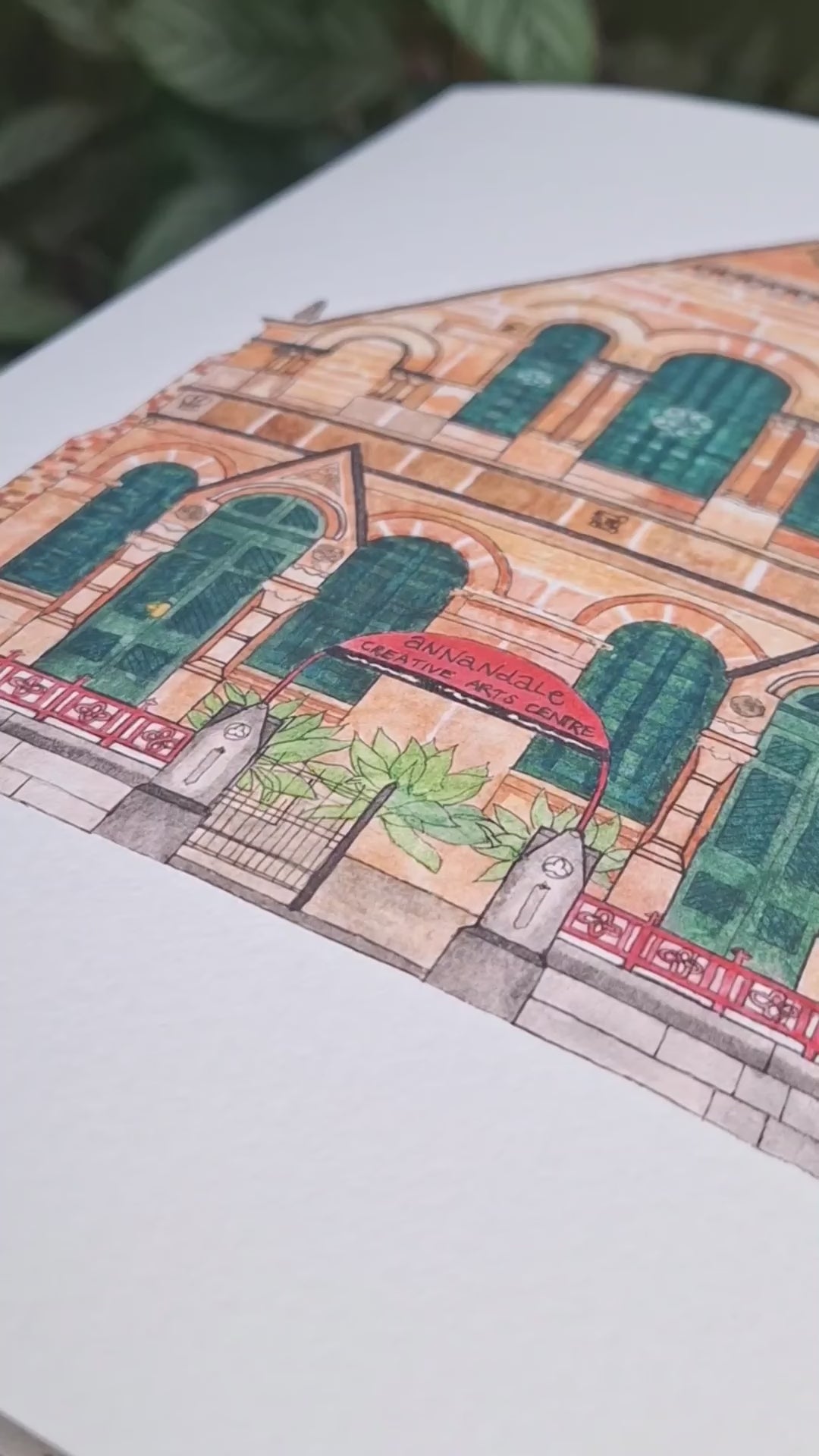 Close up video of ACAC illustration print zooming in and out with leafy green plants in the background.
