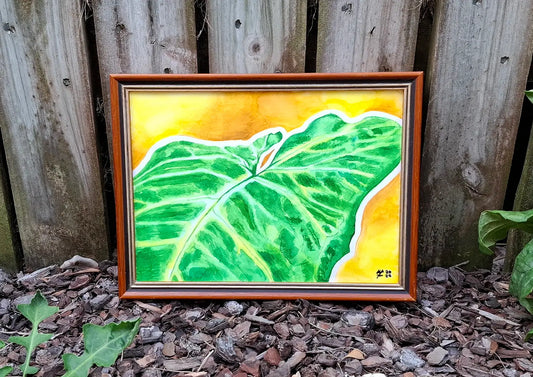 Arrowhead (Syngonium Podophyllum) • Original A4